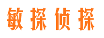 船山市侦探调查公司